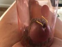 Wild insertion fetish footage captured by curious dude features crickets invading dudes cock